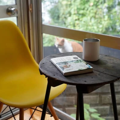写真:テーブルの上にコーヒーと本が置いてあります。奥に猫がいます。