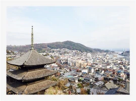 写真:街を見下ろしています。天寧寺 海雲塔や、たくさんの家や、海と山が写っています。